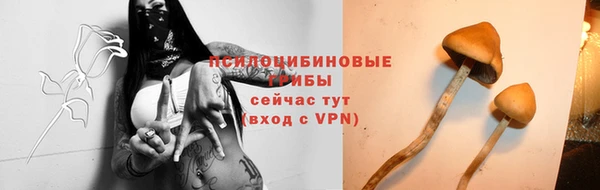 мескалин Бронницы